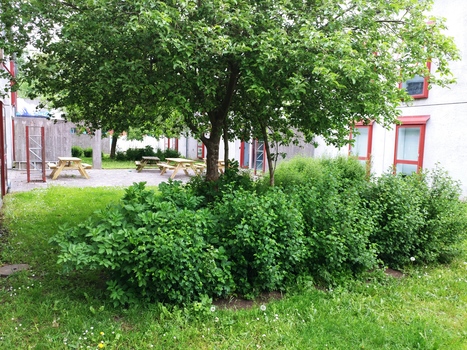 Outdoor social area