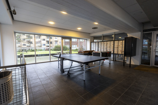 Social entrance