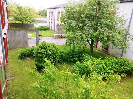 Outdoor 2